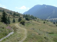 colle_agnello_35.JPG