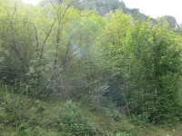 valli_bergamasche_063.JPG