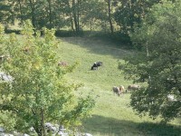 valli_bergamasche_094.JPG