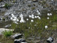 laghi_naret_65.JPG