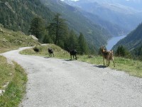 laghi_naret_70.JPG