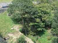 laghi_naret_77.JPG