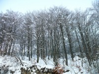 val_cava_2008_26.JPG