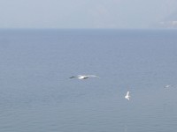 selvino_lecco_21.JPG