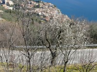 valvestino_2008_28.JPG