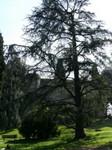 BERGAMO_82.JPG