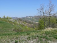 chignolo_po_21.JPG