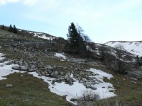 monte_grappa_2008_22.JPG