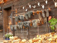 valle_stubai_19.JPG