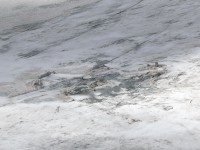 valle_stubai_53.jpg