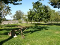 cuneo_02.JPG