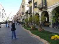 cuneo_08.JPG