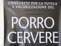 cuneo_25.JPG