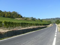 cuneo_79.JPG