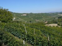 cuneo_80.JPG