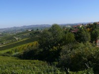 cuneo_82.JPG