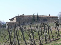 vigneti_piacentini_2009_10.jpg