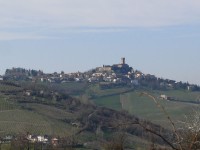 vigneti_piacentini_2009_42.jpg