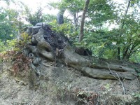 fenestrelle-2009_38.JPG