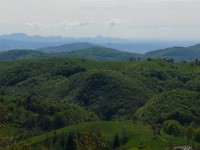 Monti_Lessini_22.JPG