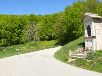 Monti_Lessini_26.JPG