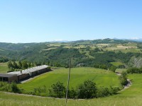 Canossa_Rossena_08.JPG