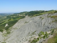 Canossa_Rossena_16.JPG