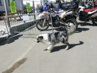 6_Passi_46.JPG