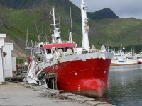nord-kapp-11_031.JPG