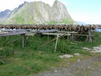 nord-kapp-11_078.JPG